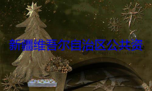 自治区公共资源交易中新疆维吾尔心副主任薛建强接受审查调查
